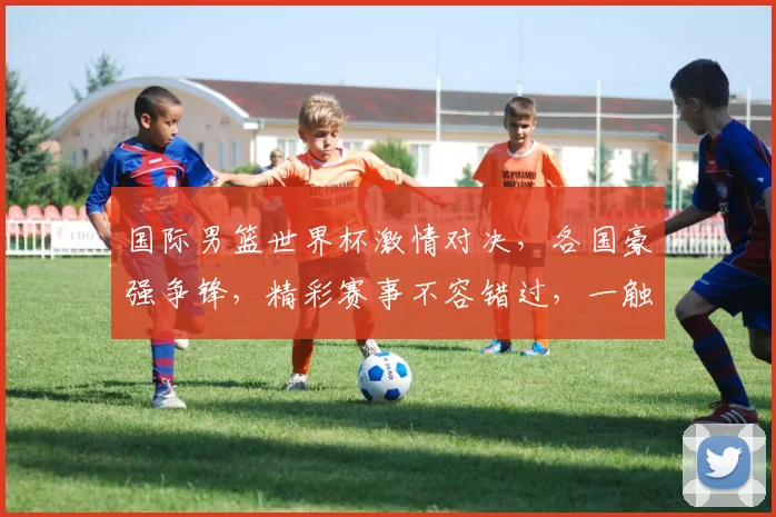 国际男篮世界杯激情对决，各国豪强争锋，精彩赛事不容错过，一触即发