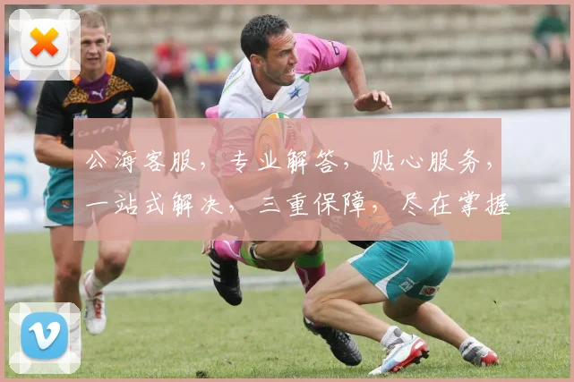 公海客服，专业解答，贴心服务，一站式解决，三重保障，尽在掌握，体验非凡
