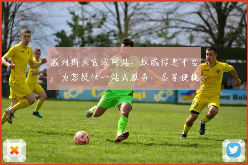 威利斯人官方网站，权威信息平台，为您提供一站式服务，尽享便捷体验，专业解读，不容错过
